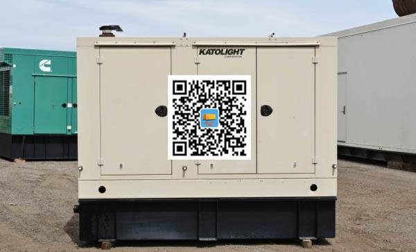 渭源出租发电机